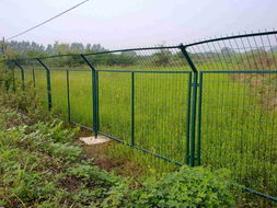 河南养殖围栏网厂家销售打造品质一流的产品